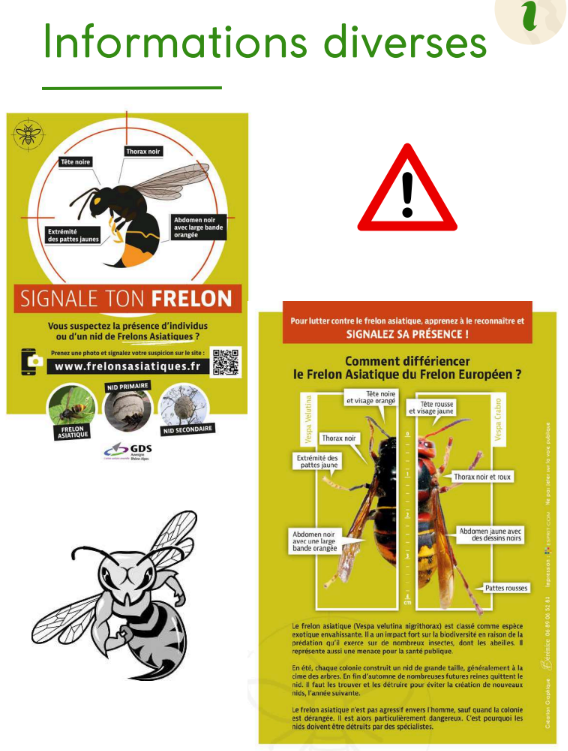 frelon